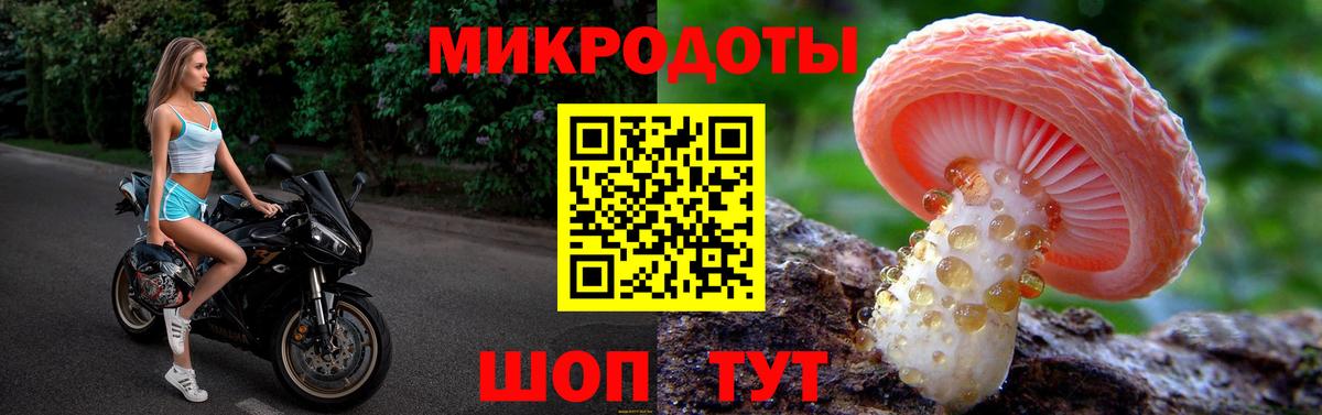 Новороссийск  Псилоцибиновые грибы прущие грибы  Вход с VPN 